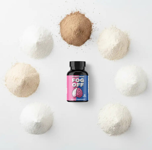 What is the best brain fog supplement 2026?