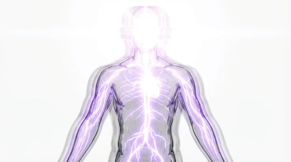 Minimalist medical illustration of a human silhouette experiencing sensory overload and blinding brain fog, representing fibromyalgia symptoms.