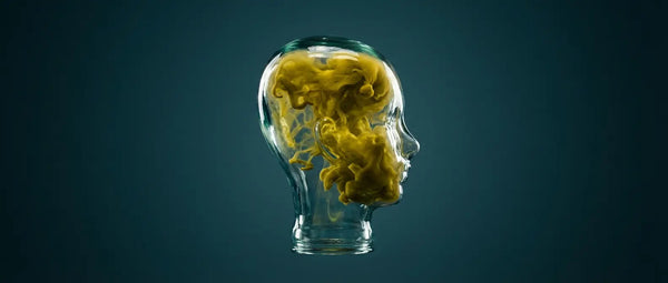 Surreal illustration of a glass head filled with thick yellow methane smoke, representing the toxic cognitive effects of methane-dominant SIBO.