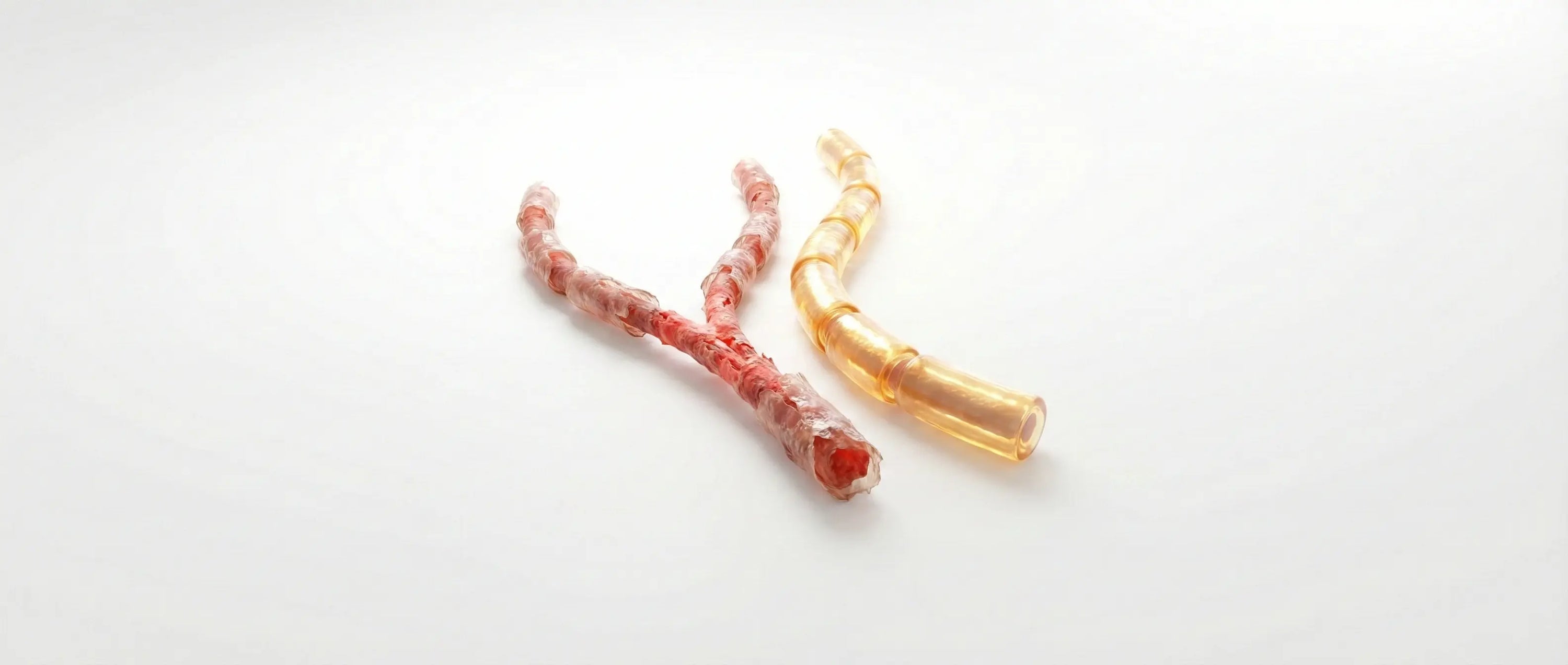 Medical illustration comparing a damaged diabetic nerve to a healthy nerve repaired by Benfotiamine supplementation.