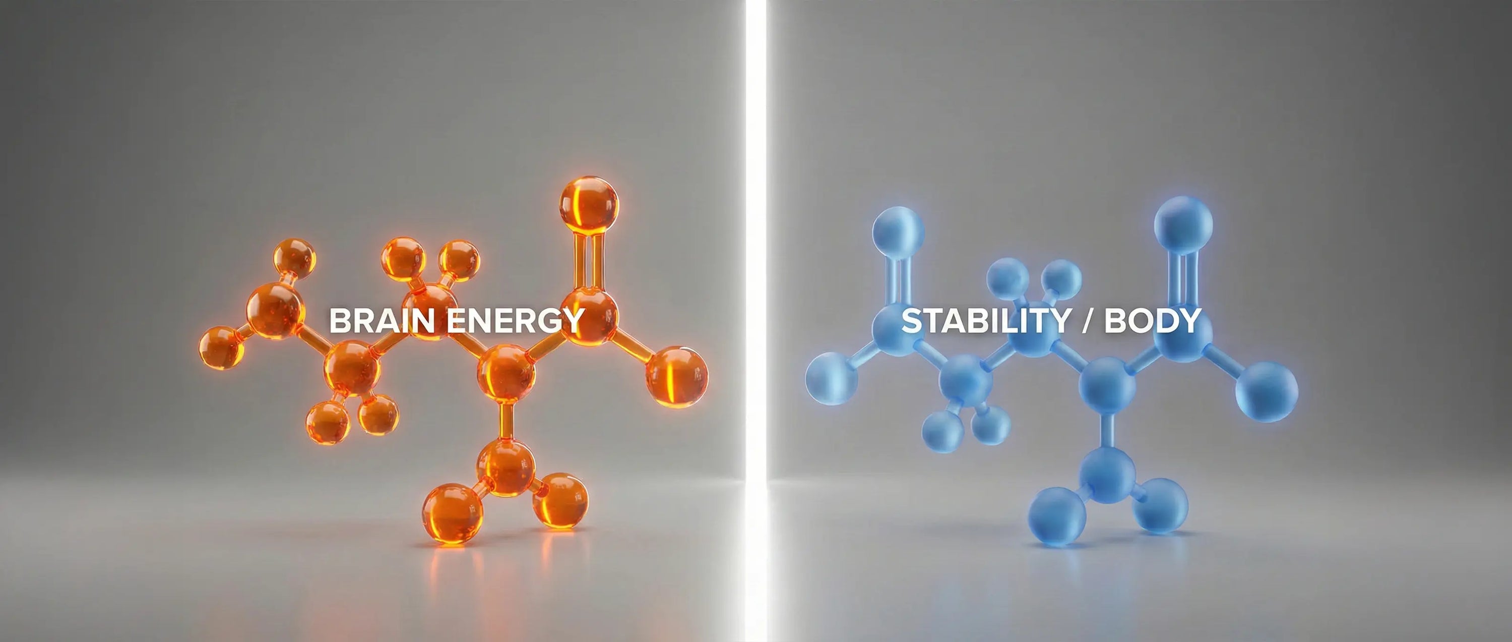 Side-by-side comparison of Glutamic Acid and Glutamine molecular structures.