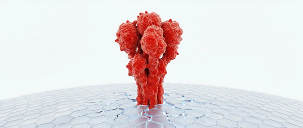 Medical illustration of the COVID-19 spike protein disrupting the blood-brain barrier, causing neuro-inflammation.