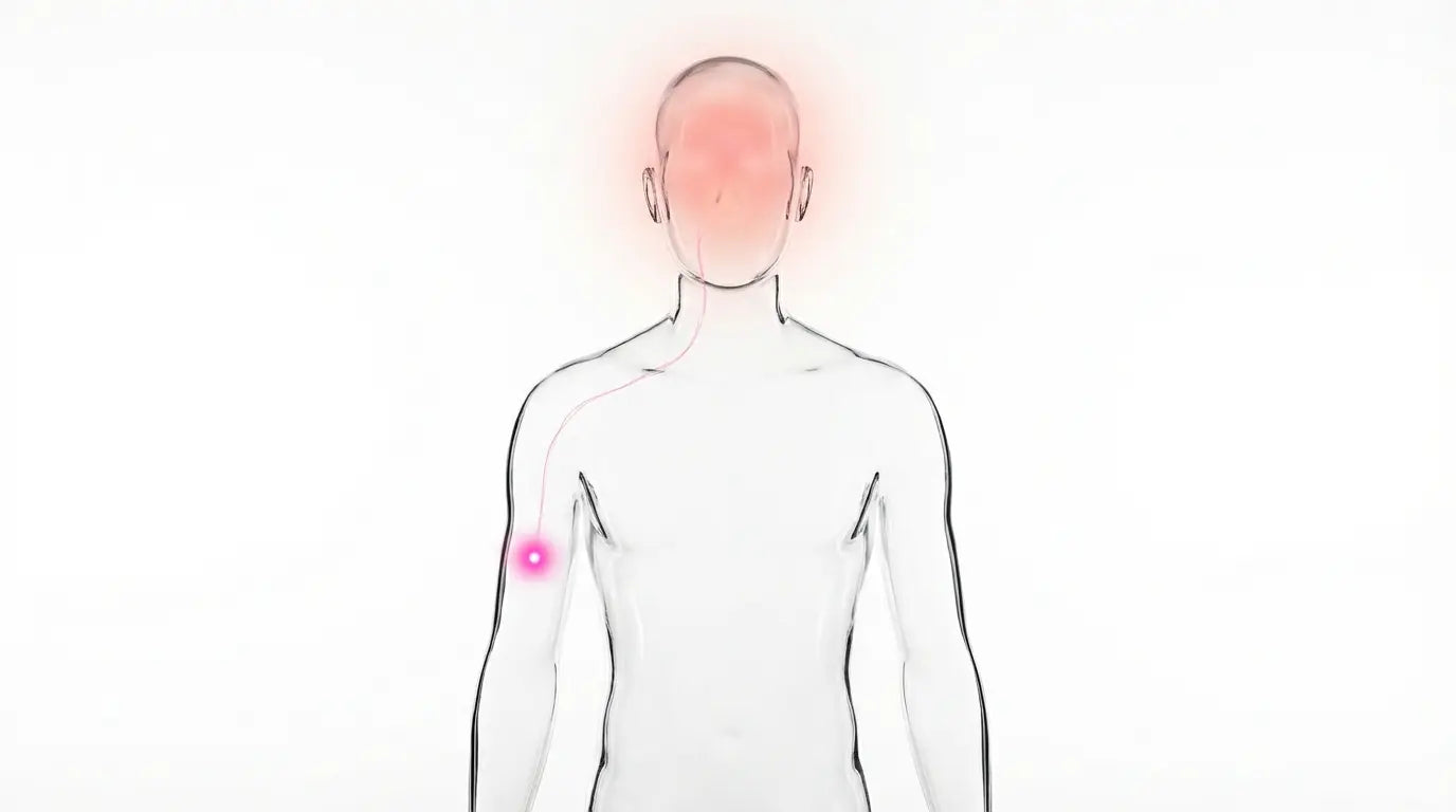 Minimalist medical illustration showing a pink inflammatory signal traveling from the injection site to the brain, symbolizing vaccine-induced brain fog.