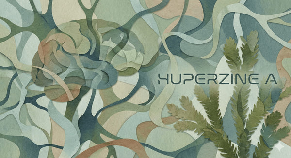 What is Huperzine A? The Chinese Club Moss Extract
