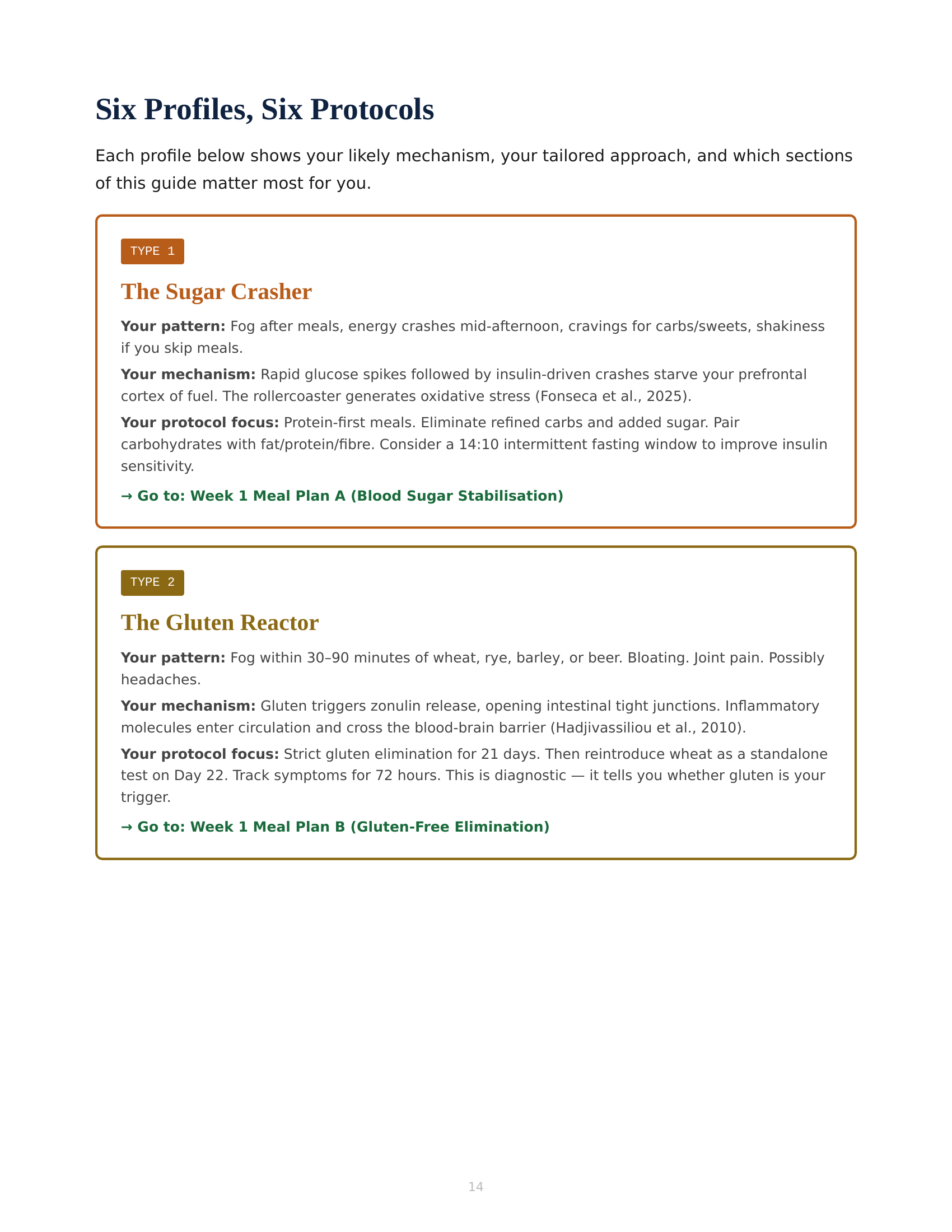 The Brain Fog Investigation Bundle