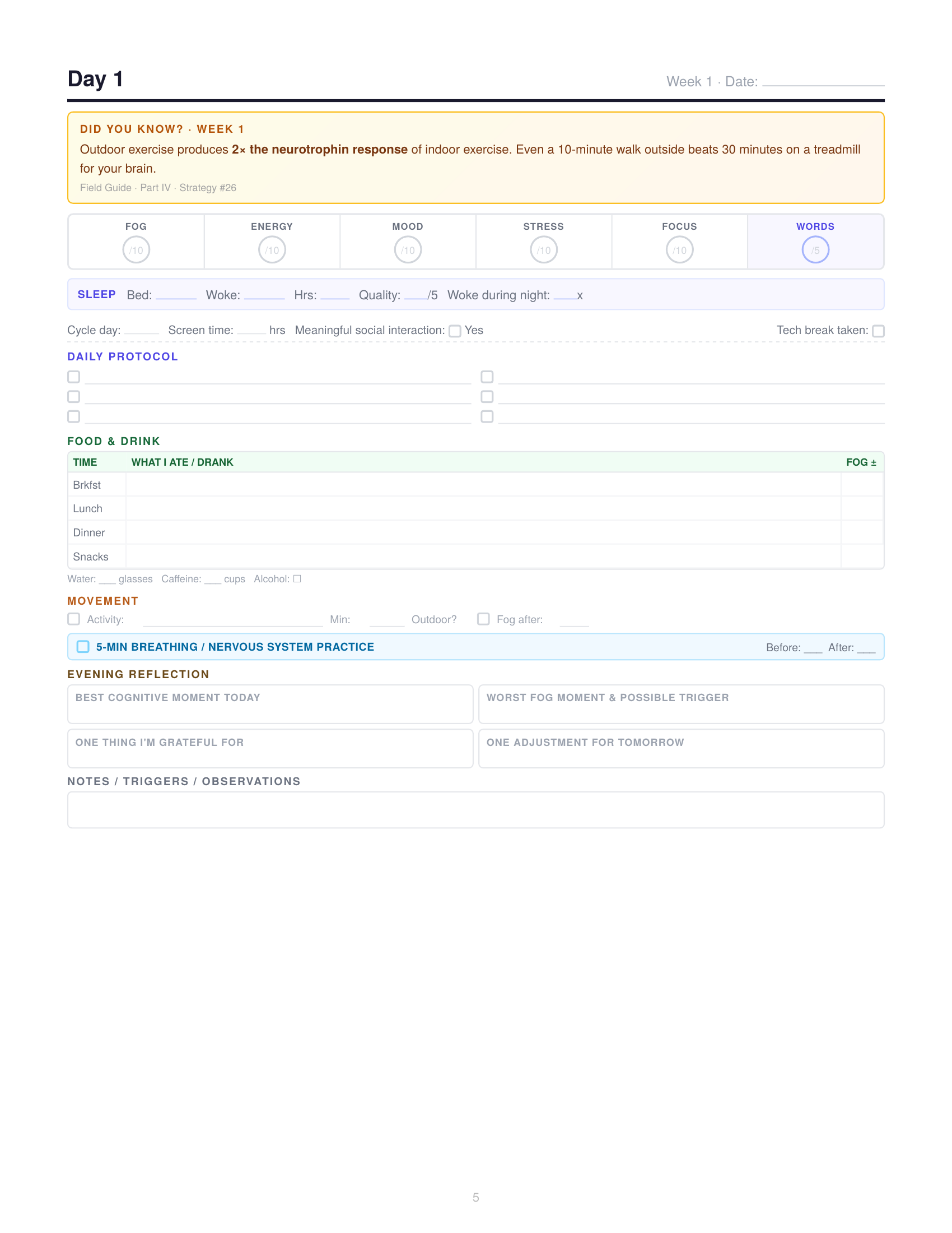 The Brain Fog Investigation Bundle